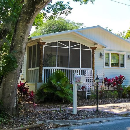 Luxurious Bohemian Bungalow In Lincolnville - Mins From Downtown! Saint Augustine Eksteriør billede